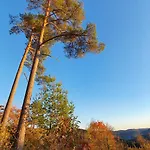 Gemütliche Mit Terrasse, Im Schwarzwald Schopfloch (Freudenstadt)