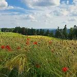 Apartment Gemütliche Mit Terrasse, Im Schwarzwald