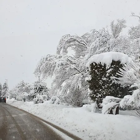 Gemütliche Mit Terrasse, Im Schwarzwald Apartamento *