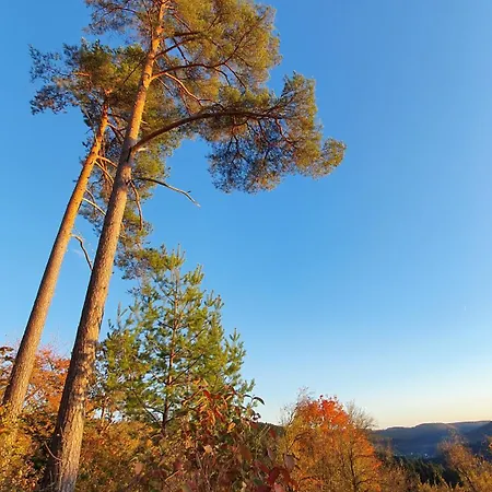 Gemütliche Mit Terrasse, Im Schwarzwald Schopfloch (Freudenstadt)
