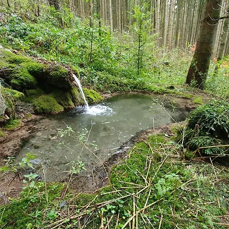 Gemütliche Mit Terrasse, Im Schwarzwald Apartamento Schopfloch (Freudenstadt)