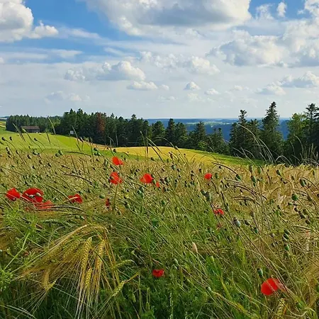 Appartamento Schwarzwald Mit Terrasse & Parkplatz