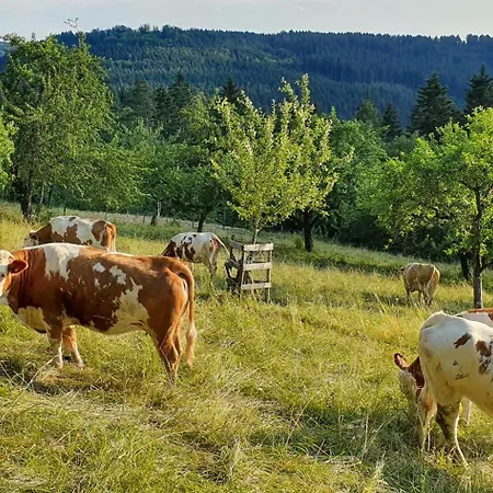 Apartamento Gemütliche Mit Terrasse, Im Schwarzwald