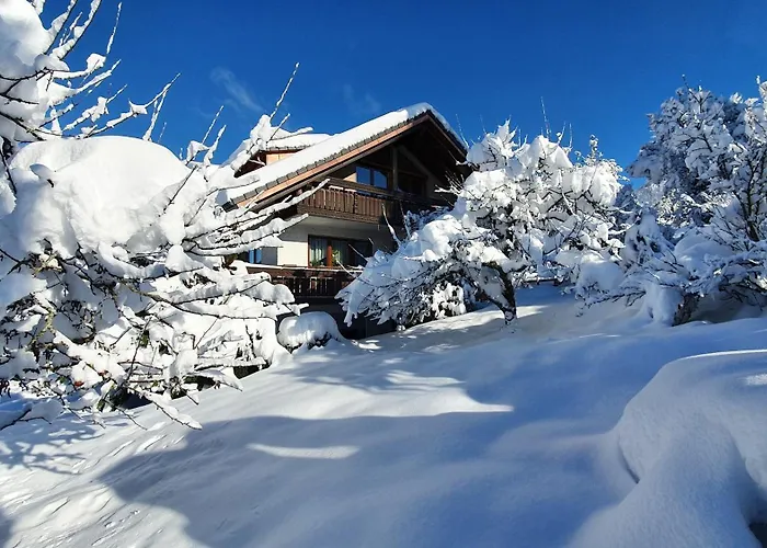Gemuetliche Mit Terrasse, Im Schwarzwald Appartement