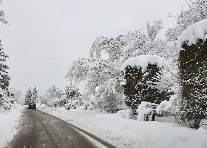 Gemuetliche Mit Terrasse, Im Schwarzwald Appartement *