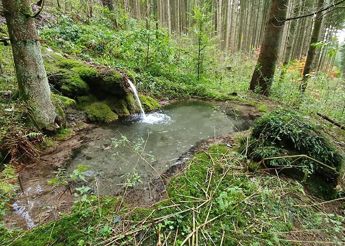 Gemuetliche Mit Terrasse, Im Schwarzwald Appartement Schopfloch (Freudenstadt)