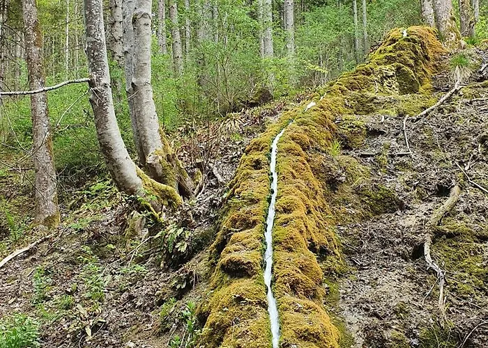 Gemuetliche Mit Terrasse, Im Schwarzwald Appartement *