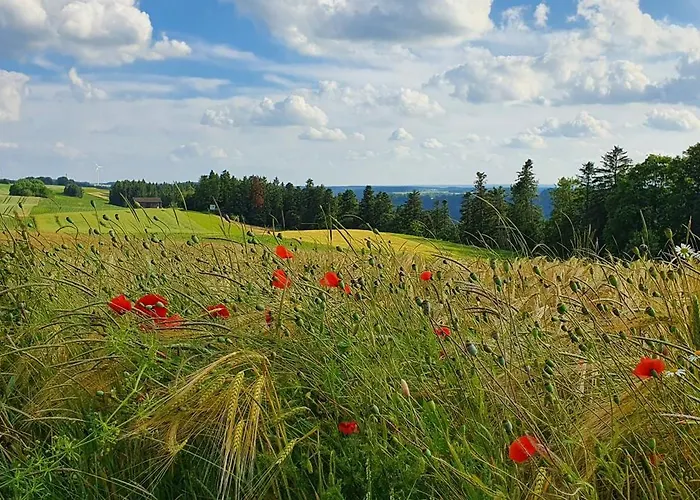 Appartement Gemuetliche Mit Terrasse, Im Schwarzwald