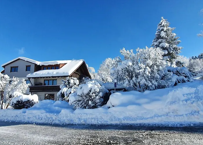 Gemuetliche Mit Terrasse, Im Schwarzwald *